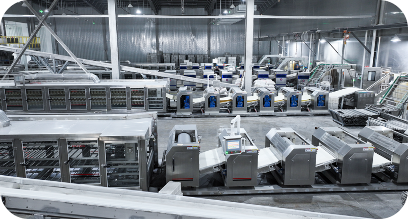 引进先进设备与工艺